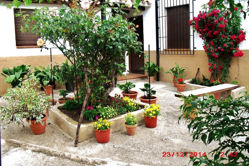 Вілла Casa Del Abuelo 1 Єсте Екстер'єр фото